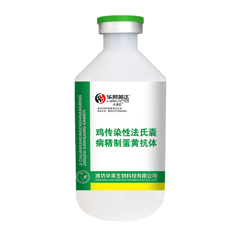 卡迪歐?
